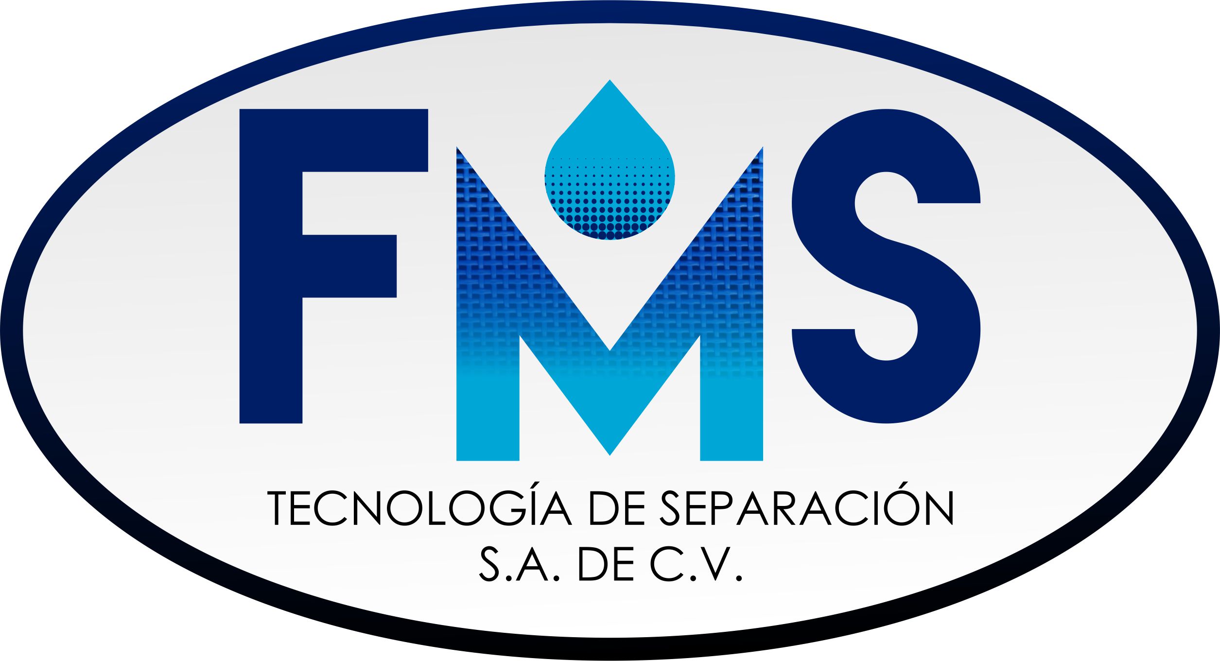 Logotipo FMS